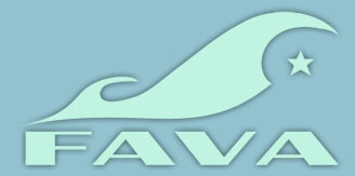Le FAVA 2013
