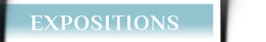 Visitez les expositions au FAVA 2013