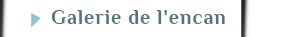 Visitez la galerie de la vente à l'encan au FAVA 2013