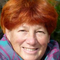 Joan Cullen au FAVA 2013